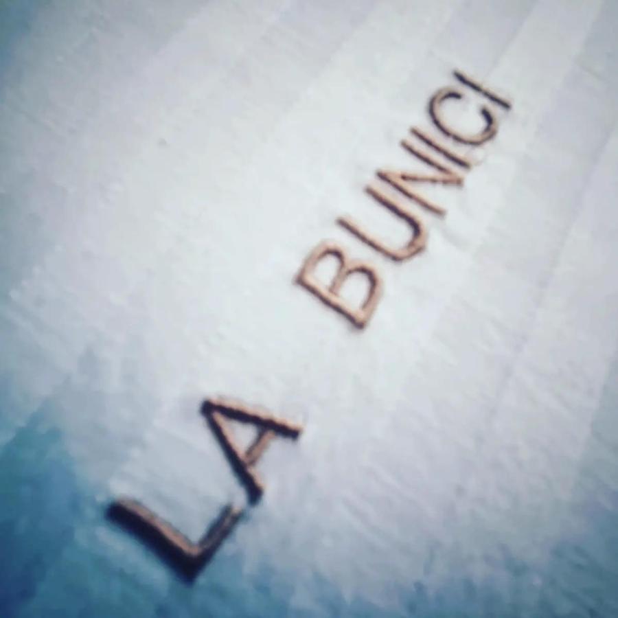 Appartamento La Bunici Baia Mare Esterno foto