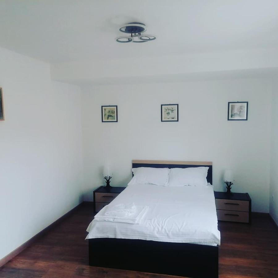 Appartamento La Bunici Baia Mare Esterno foto